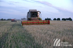 agricultura_medium